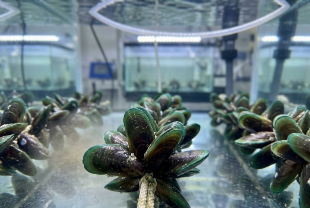 Controlled Indoor System